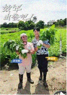 编辑推荐 智齿 剧照